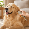 Steam Pet Brush — Painless Deshedding for Cats & Dogs