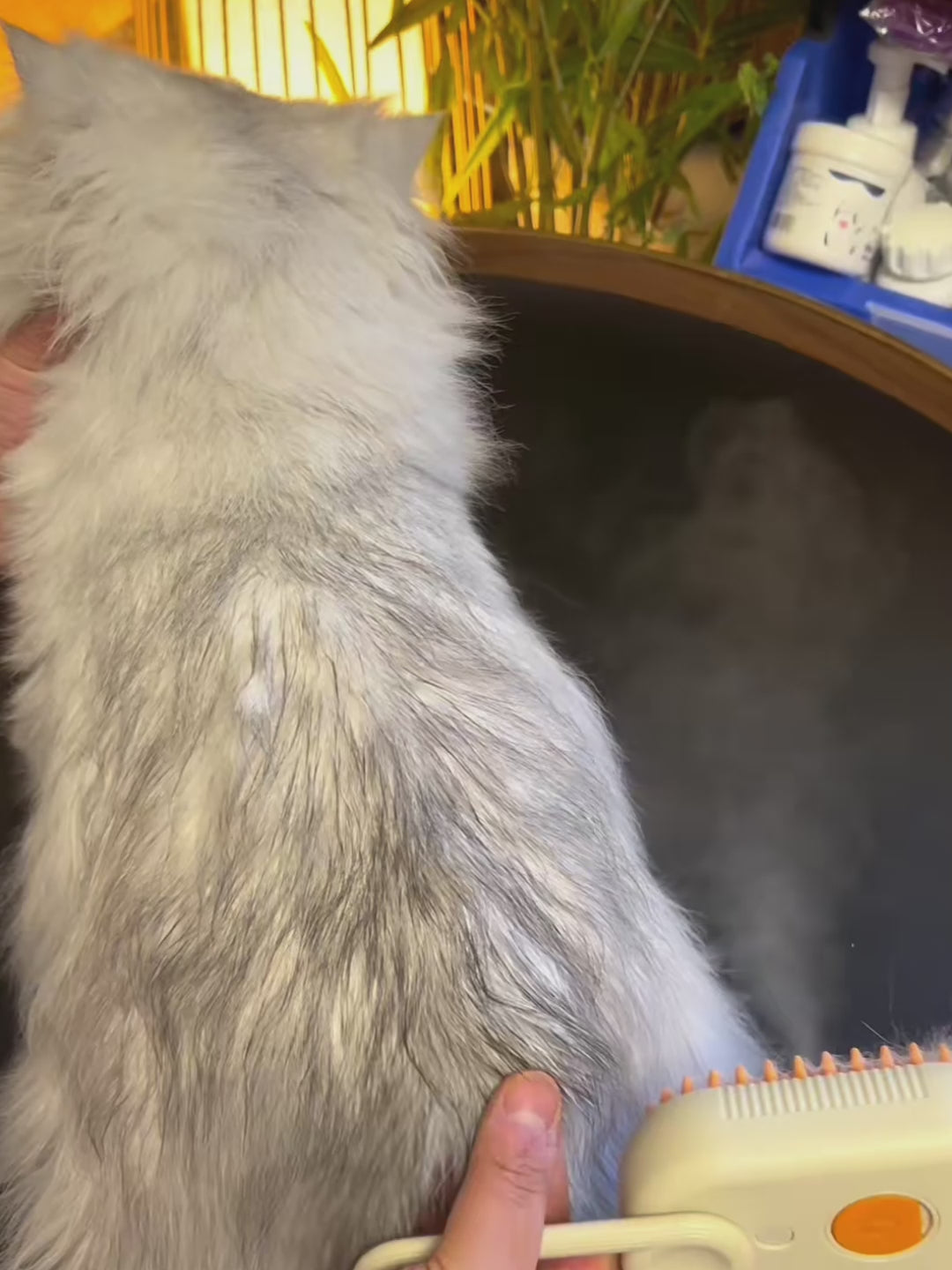Noomo Steam Brush — steam in action
